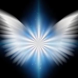 Meet your Posher, Yara